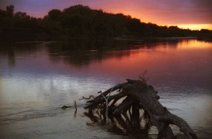 Staub on the Kaw – This photo was taken while on a fall float trip from Junction City to Manhattan. Photo was east of Ogden and shows a Cottonwood staub in the Kaw at Sunset.