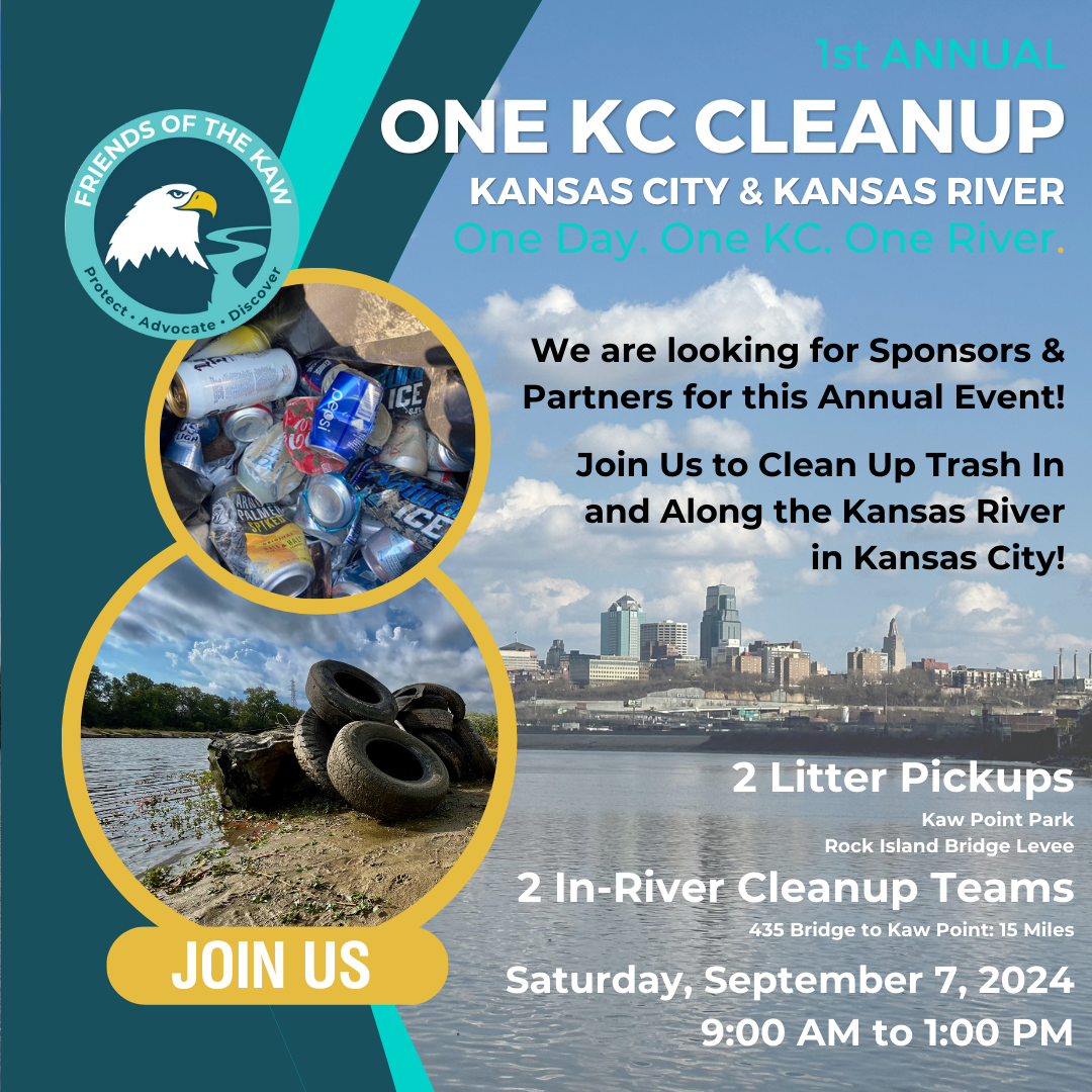 ONE KC CLEANUP